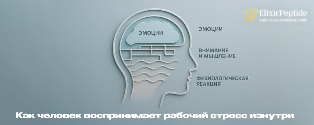 Как человек воспринимает рабочий стресс изнутри.png