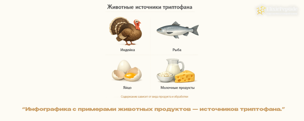 Инфографика с примерами животных продуктов источников триптофана.png
