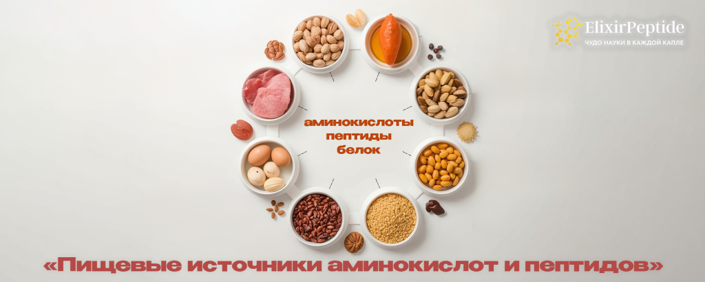 Научные исследования старения -восстановлено.png