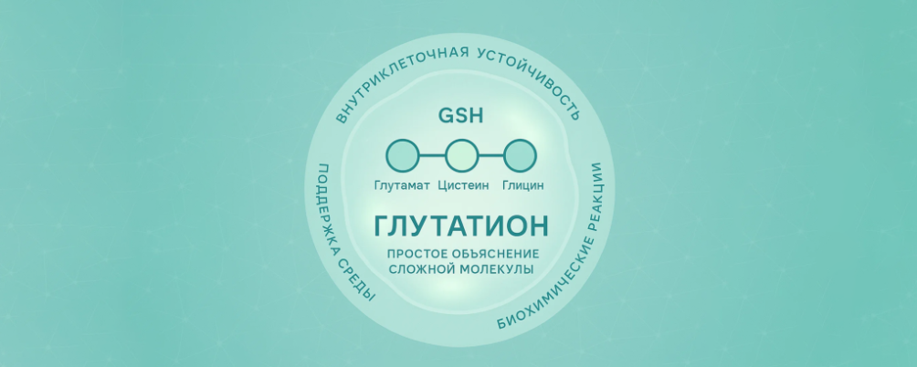 Почему глутатион важен для организма: простое объяснение